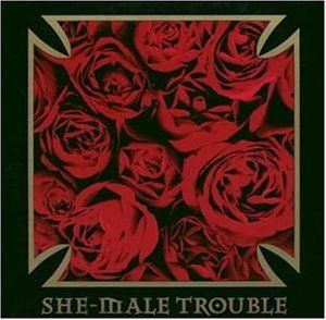 She-male trouble - Back from the nitty gritty