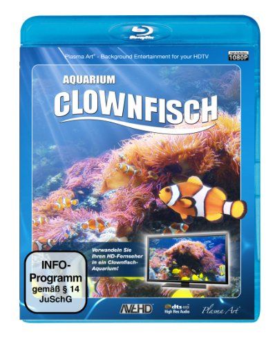 Clownfisch-Aquarium HD
