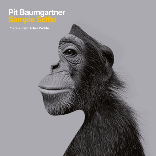 Baumgartner, Pit (De-Phazz) - Sample Selfie