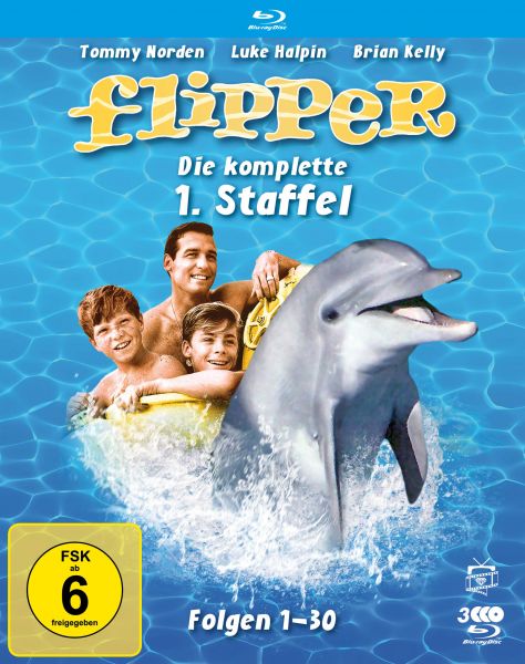 Flipper - Die komplette 1. Staffel